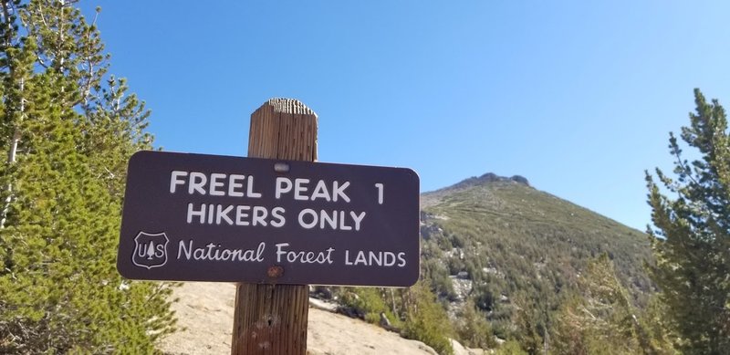 The start of the climb - with Freel Peak in the background.