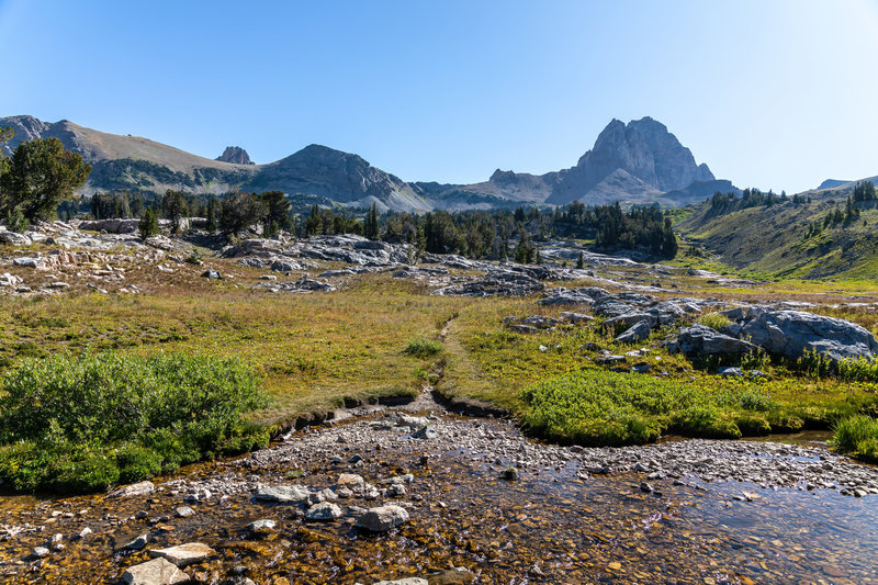 A crossing of Teton Creek with Buck Mountain towering ahead.