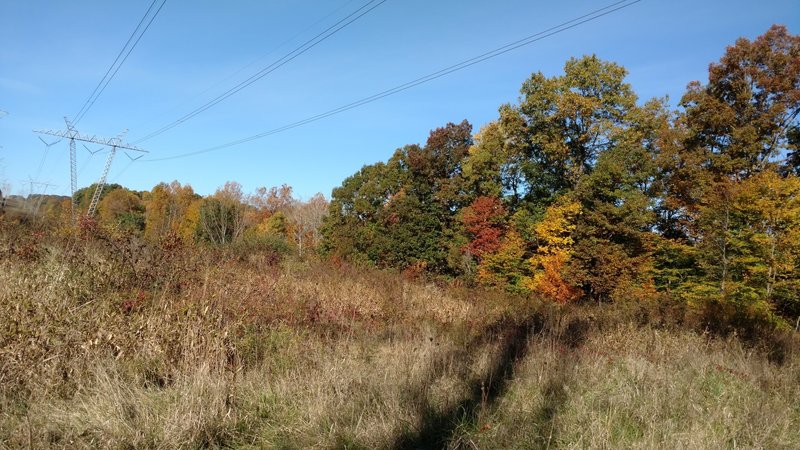 Fall colors on the way to Jaite.