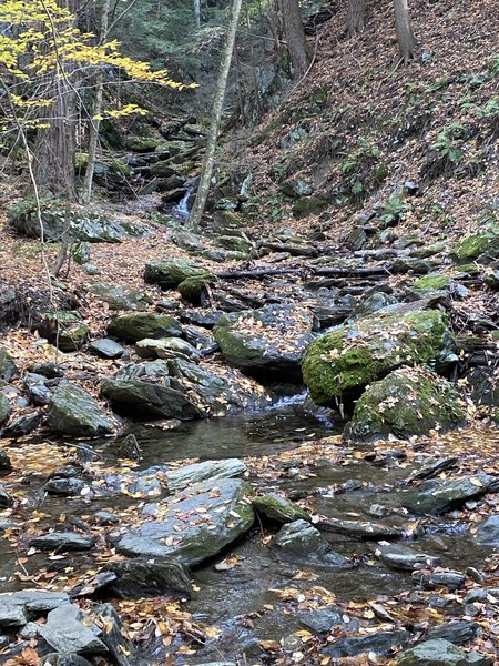 Looking upstream on the bridge at start of hike to the overlook platform.