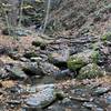 Looking upstream on the bridge at start of hike to the overlook platform.