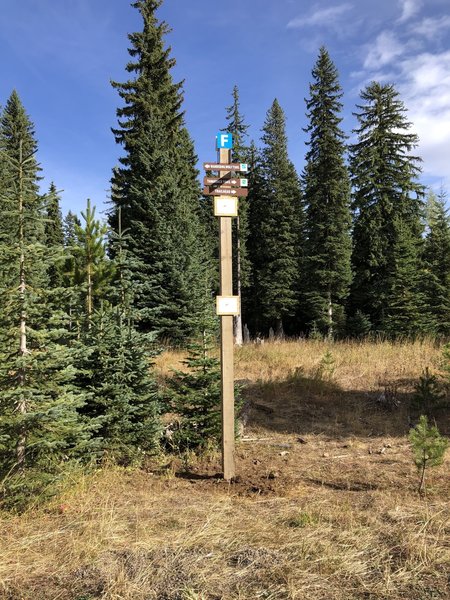 Trail Intersection Marker F with new post and trail direction signs.