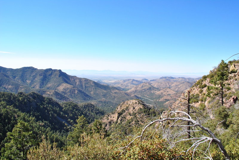 View NW towards middle of Mormon Ridge Trail.