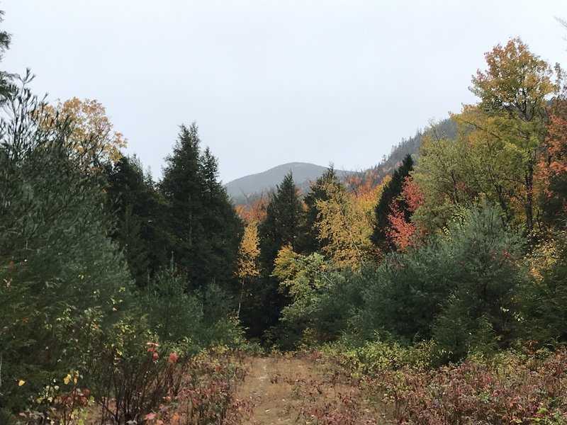 An overcast fall day.