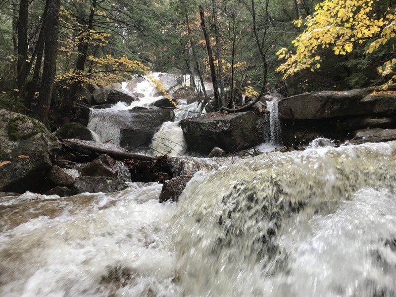 Below Thompson Falls during the rainstorm.