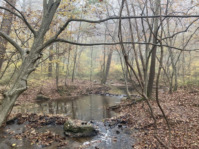 Crossing the creek