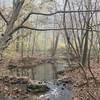 Crossing the creek