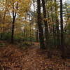 View of the North Loop Trail