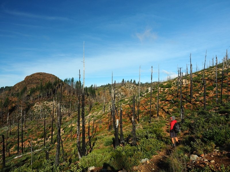Point 3349 (left) from the Snow Camp Trail
