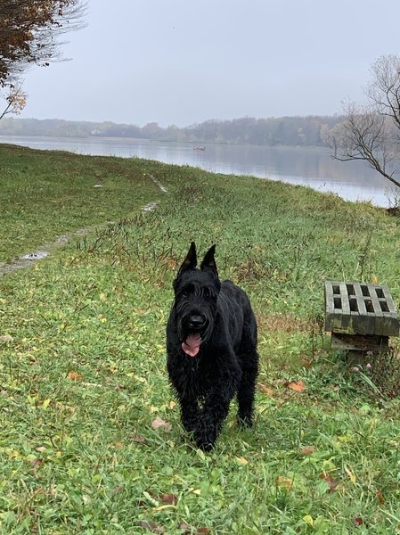 Og at Howard Eaton Reservoir North East, Pa.