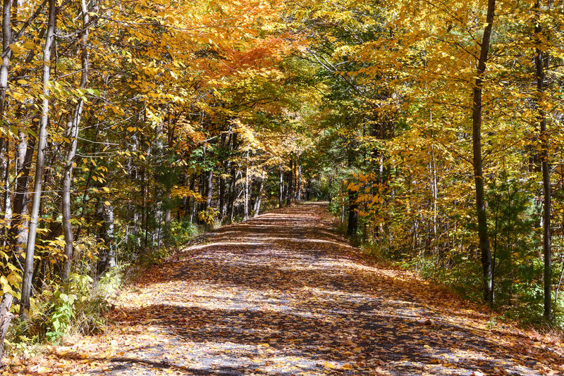 Ashokan Rail Trail