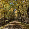 Ashokan Rail Trail