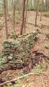 Old Mill Dam