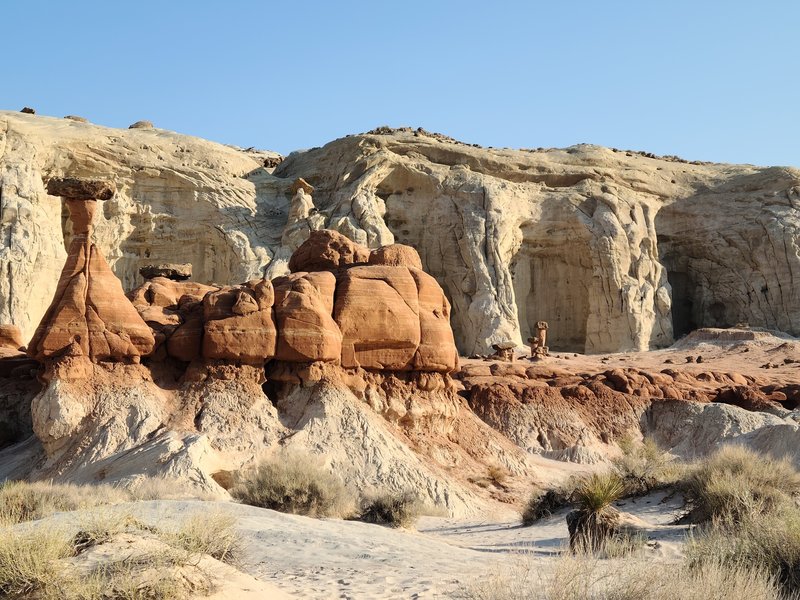 Toadstool Park