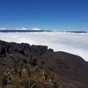 Looking west into a sea of clouds.