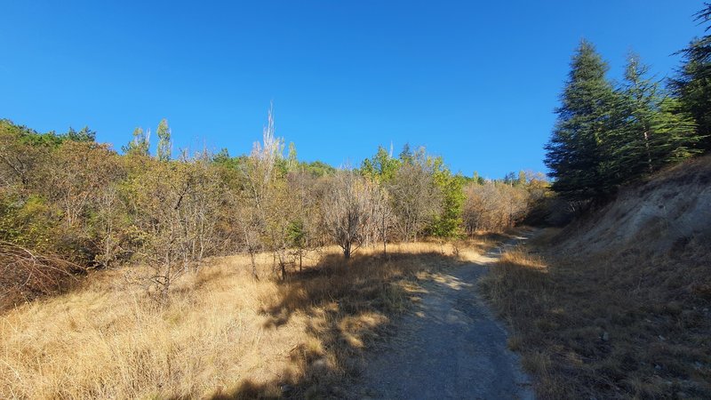 Towards the end of the Üçgenzi Patikası (Trail).