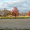 Baseball Fields North Side of Trail