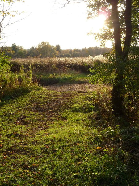 Second Bridge from Outer Ring Loop Trail over Mill Creek to Walnut Trail.