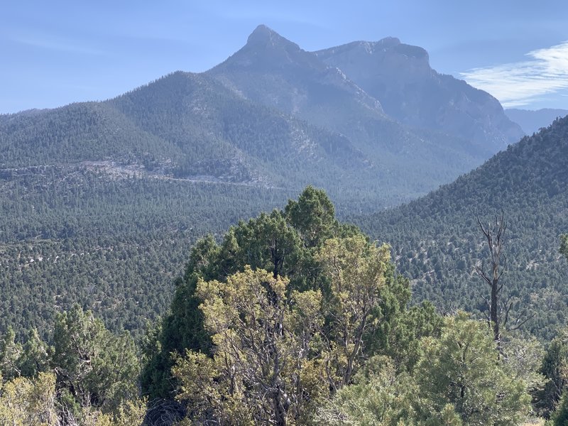 View of Mummy Mountain.