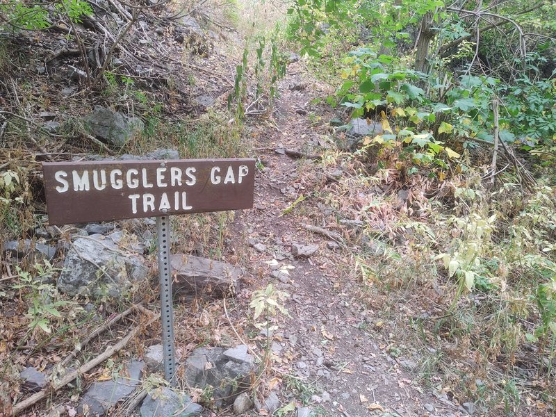 This is the sign you're looking for if starting the trail from the canyon bottom.