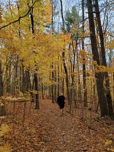 Hiking through the fall colours.
