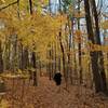 Hiking through the fall colours.