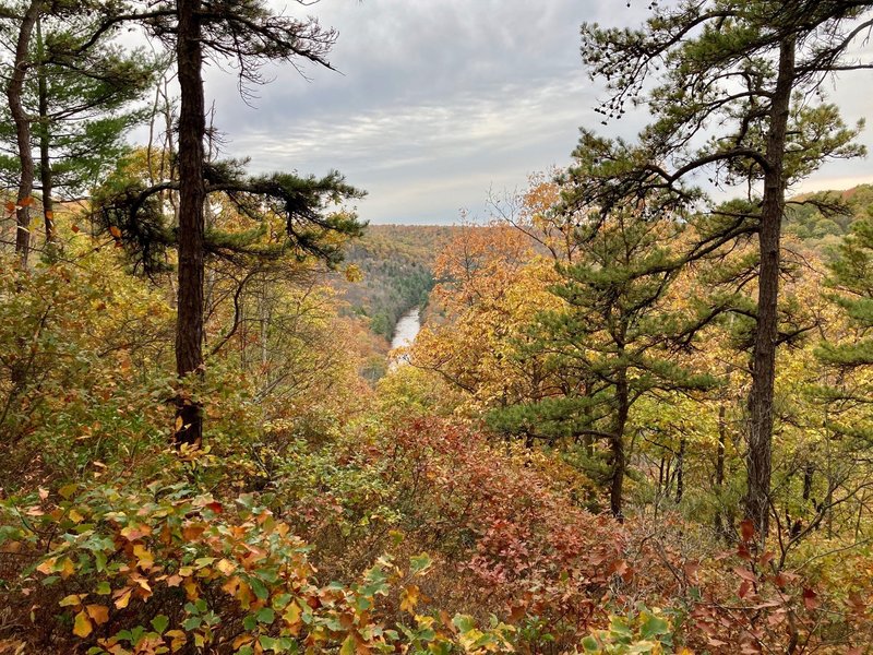 View of the Moshannon River