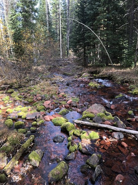 Red Creek - so names because of the red rocks native to the area.