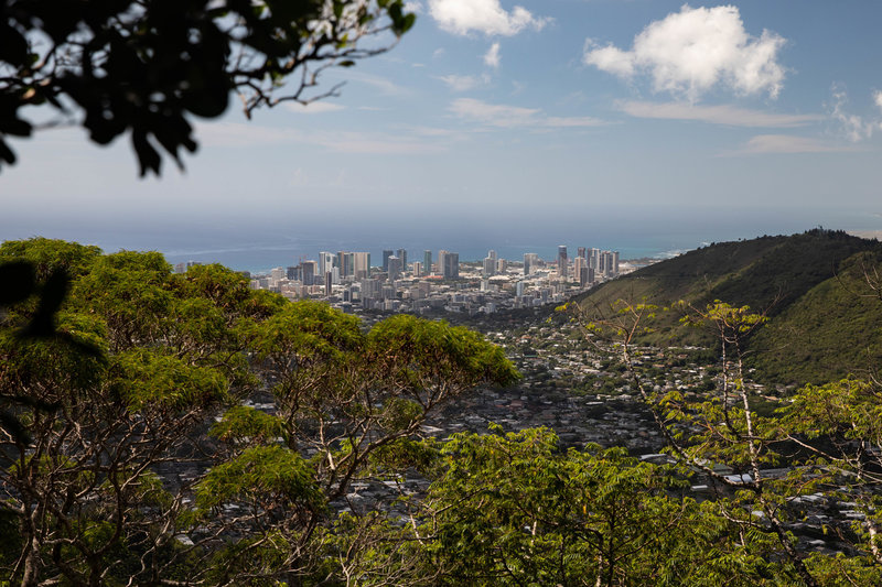 This trail offers some great views of Honolulu.