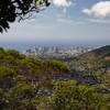 This trail offers some great views of Honolulu.