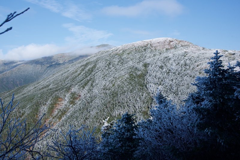 Looking toward Mount Washington from Edmands Path.