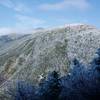 Looking toward Mount Washington from Edmands Path.