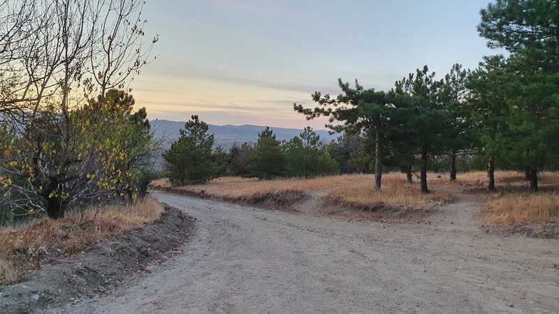 Looking at dirt road and a singletrack trail towards southeast.