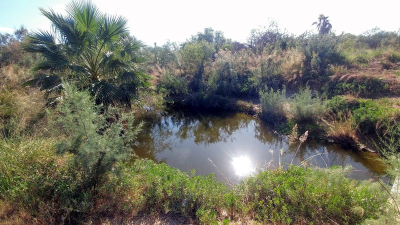 Chacon Creek