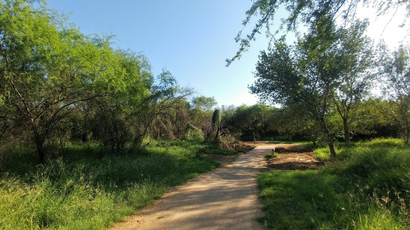 Trail passing through between Villa Del Sol Park and Independence Hill Park.