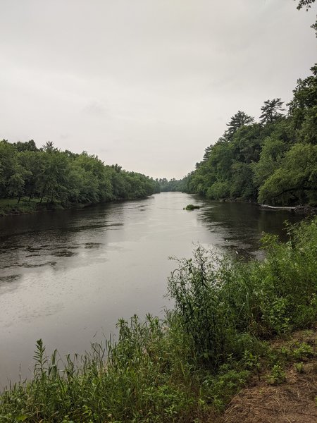 View of the Black River from the trail.