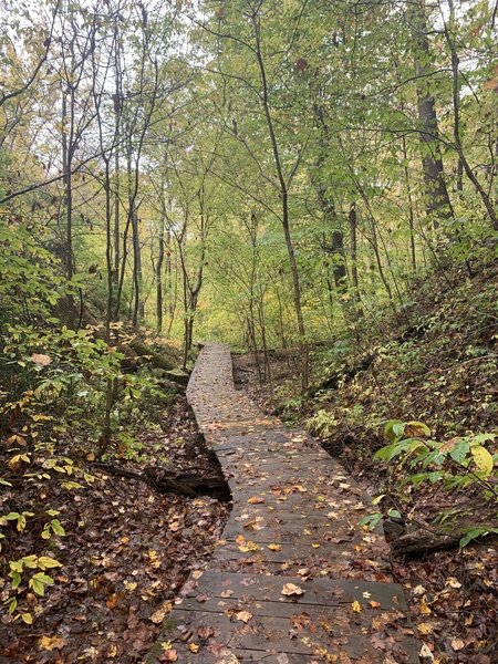 Part of the trail that is in the ravine.