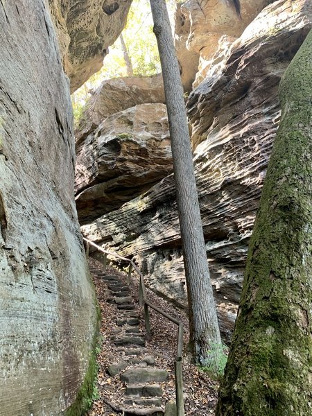 Stairway up the Devils Gulch Connector.