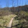 One of the prairie sections.