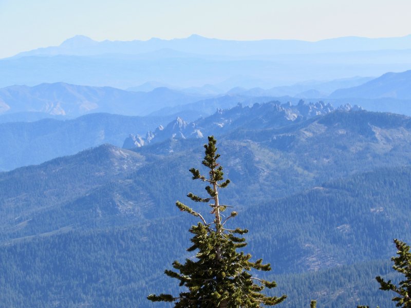 View from the top of Mount Eddy.