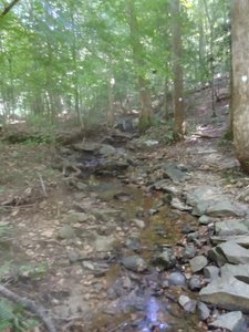 Stream