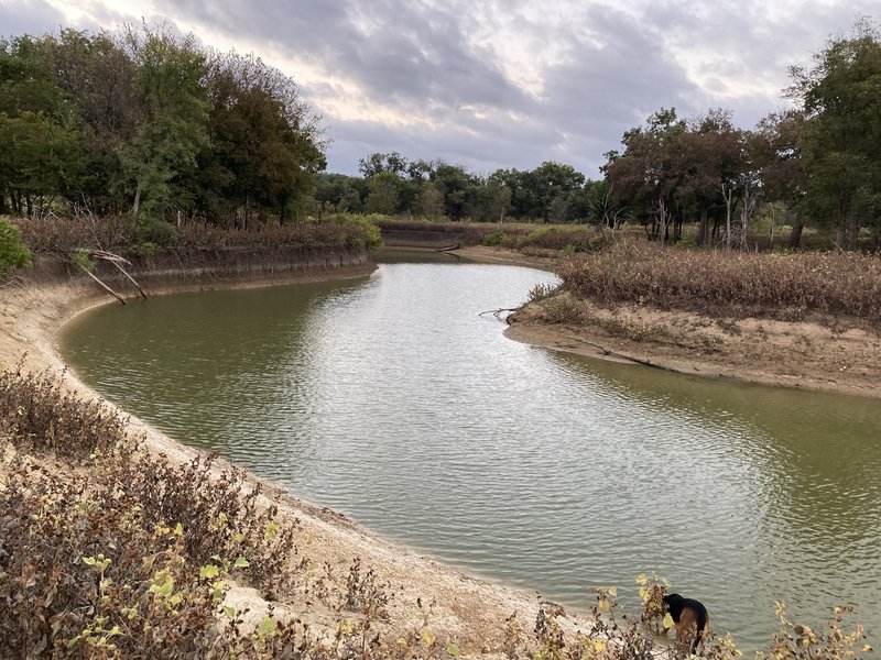 Meandering River