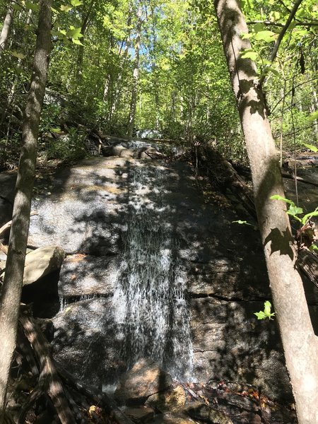 View looking up falls near top/north of trail. There are additional sections above. Sorry for the poor lighting--it's much nicer in person.