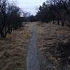 On singletrack trail looking towards east before the sunrise.