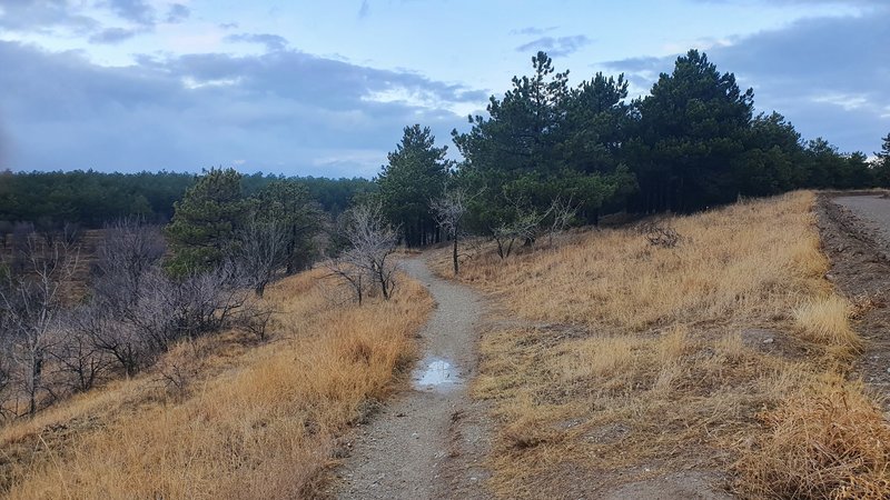 Entrance of a singletrack trail in Eymir Forest area after rain, looking towards Northwest.