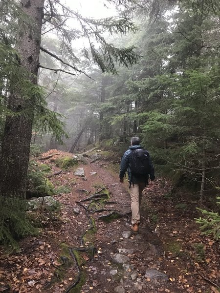 Near pine mountain summit. The only views that I saw were from the ledge.