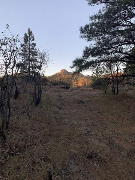 A view of Hualapai Peak from Potato Patch Loop.