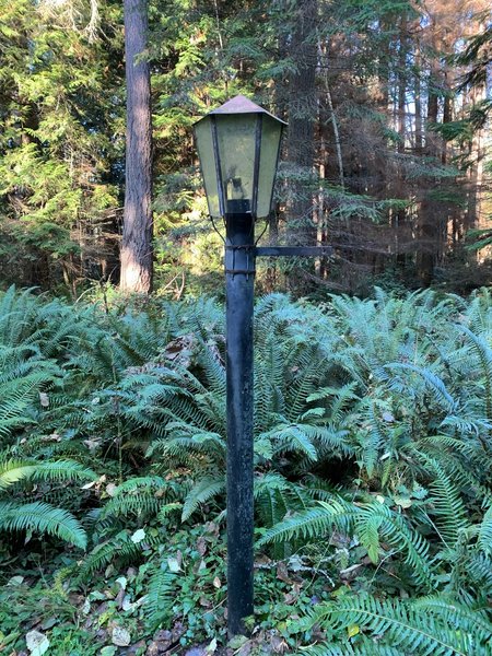 Random street light just off the loop trail in Gazzam Lake park