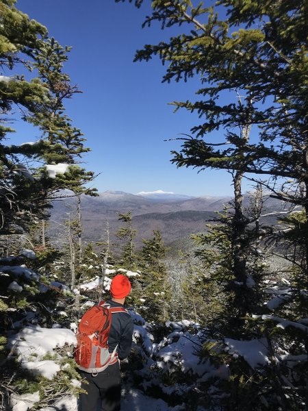 Mt. Washington from Sandwich Mtn. Trail