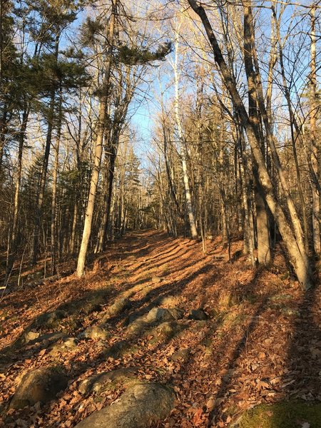 Black Mountain Ski Trail